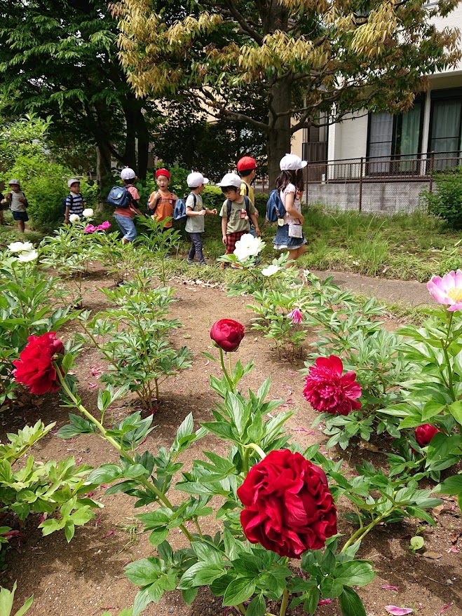 年中花木園