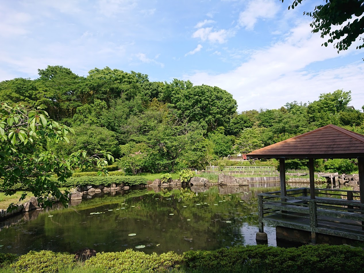 池前景