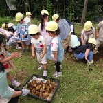 じゃがいもの栽培と収穫の体験